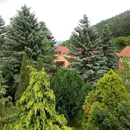 Ferienwohnung Ferien Bei Freunden Apartamento *